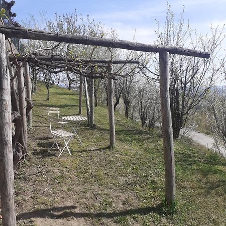 Casa Nebieu In Edificio Indipendente Nel Centro Di Monforte Monforte dʼAlba Exteriör bild